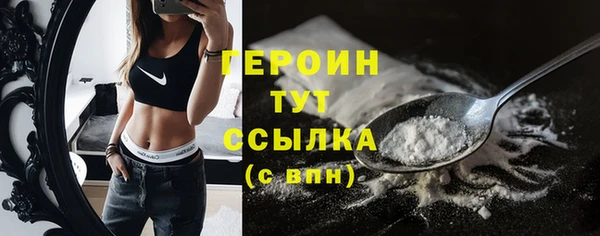 индика Снежногорск