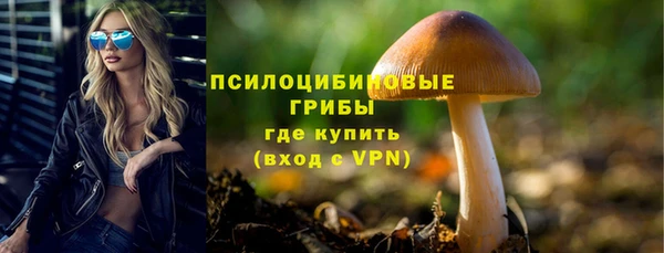 тгк Белокуриха