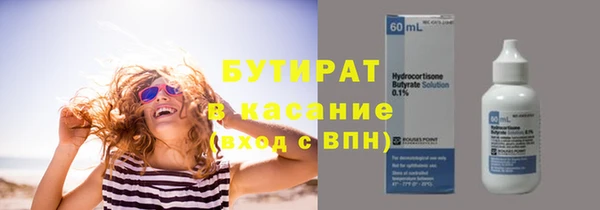 индика Снежногорск