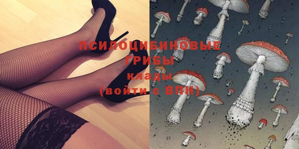 тгк Белокуриха
