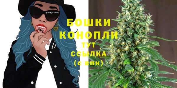 стаф Белоозёрский