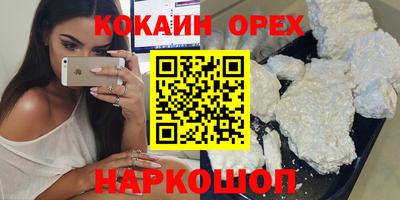 крисы Камышлов