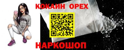 крисы Камышлов