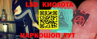 крисы Камышлов