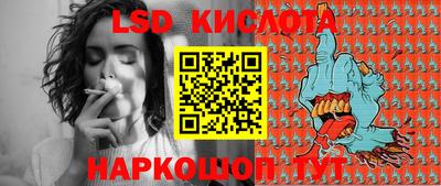 крисы Камышлов
