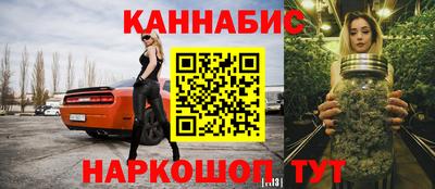 крисы Камышлов