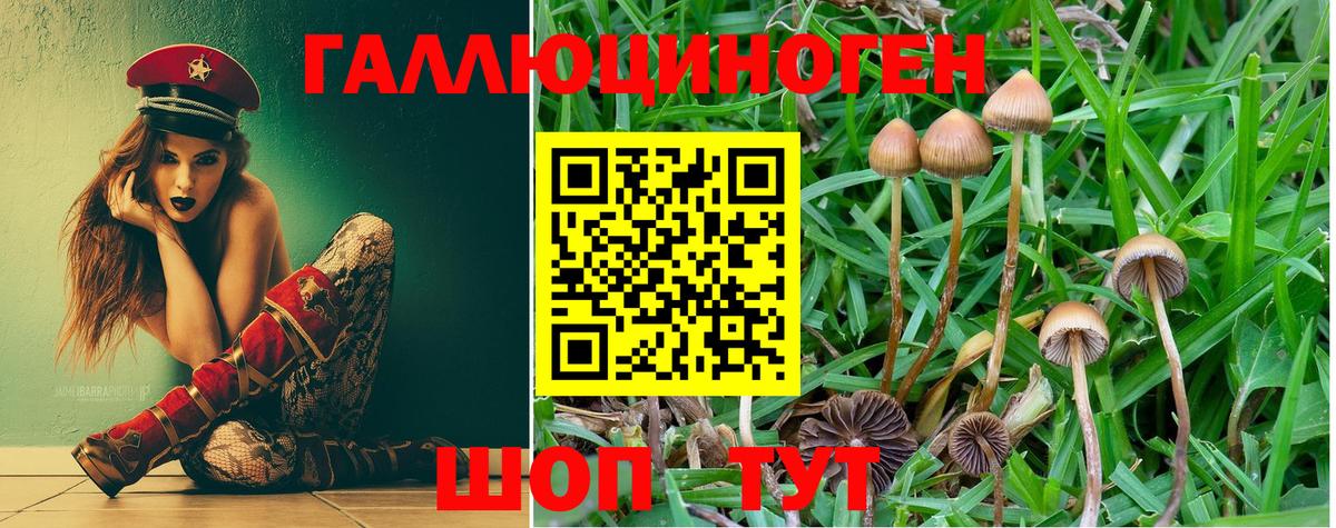 Луховицы  Галлюциногенные грибы MAGIC MUSHROOMS  Вход с VPN 